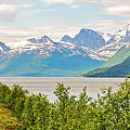 Lyngenfjord
