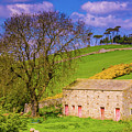 Wensleydale Barn